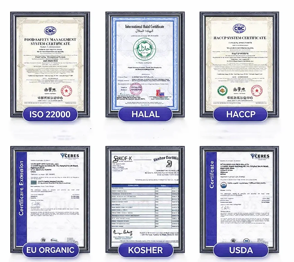 certifactions certifactions